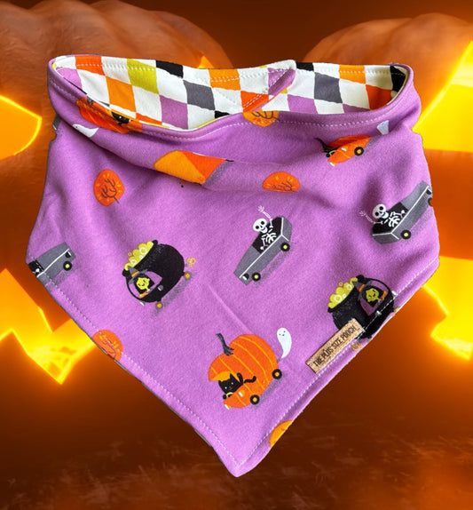 Spooky Cruisin’ - Everyday Stretch Bandana