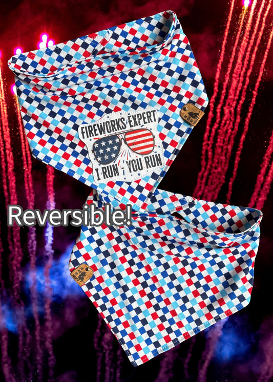 Fireworks expert - Reversible Dog Bandana