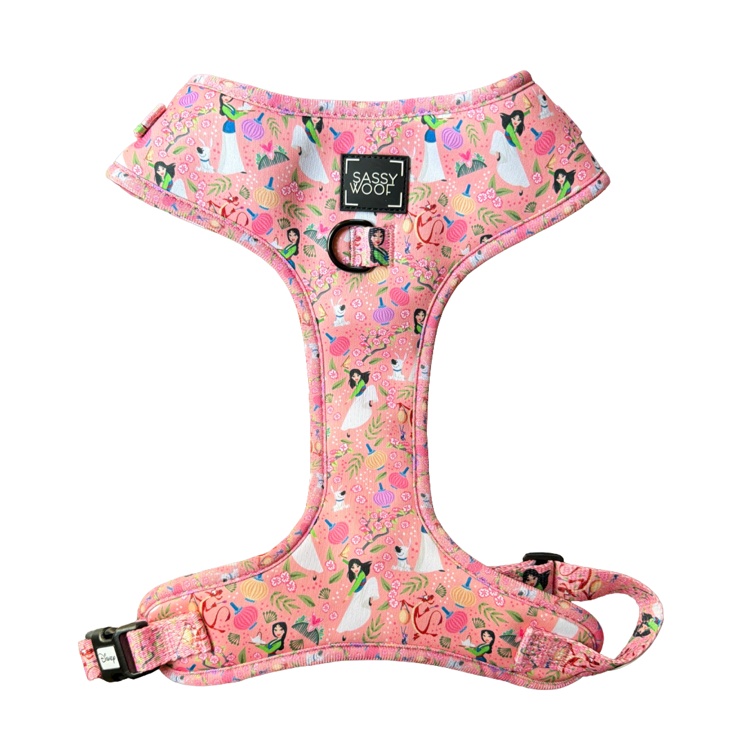 SassyWoof Harness - XL