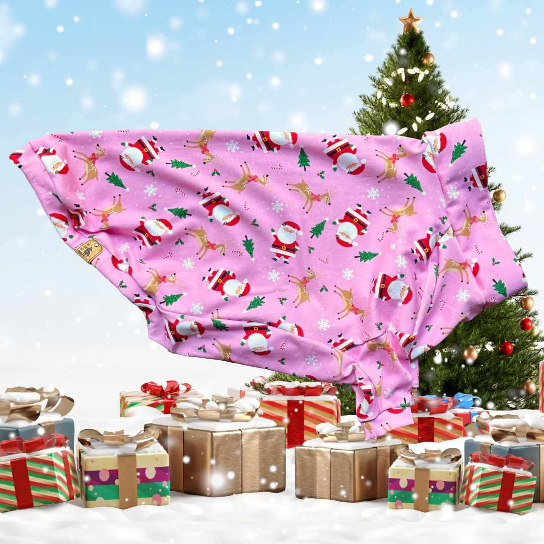 Santa Claus is coming to town - Long Sleeve Tee Shirt - READY TO SHIP