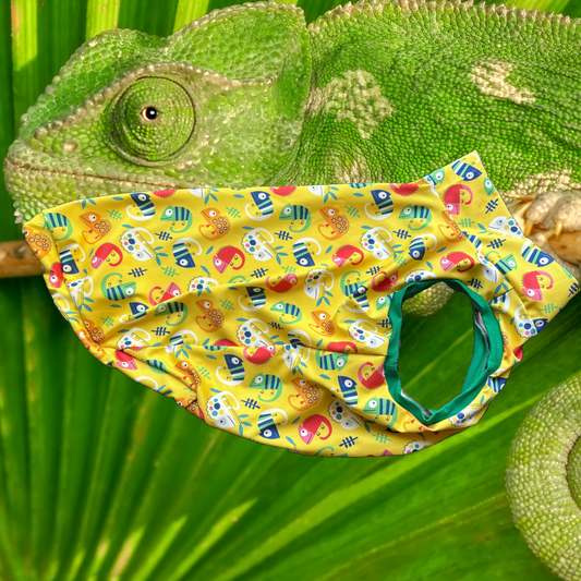 Chameleon - UV50 Sun Protective Tee - XL - Ready to Ship