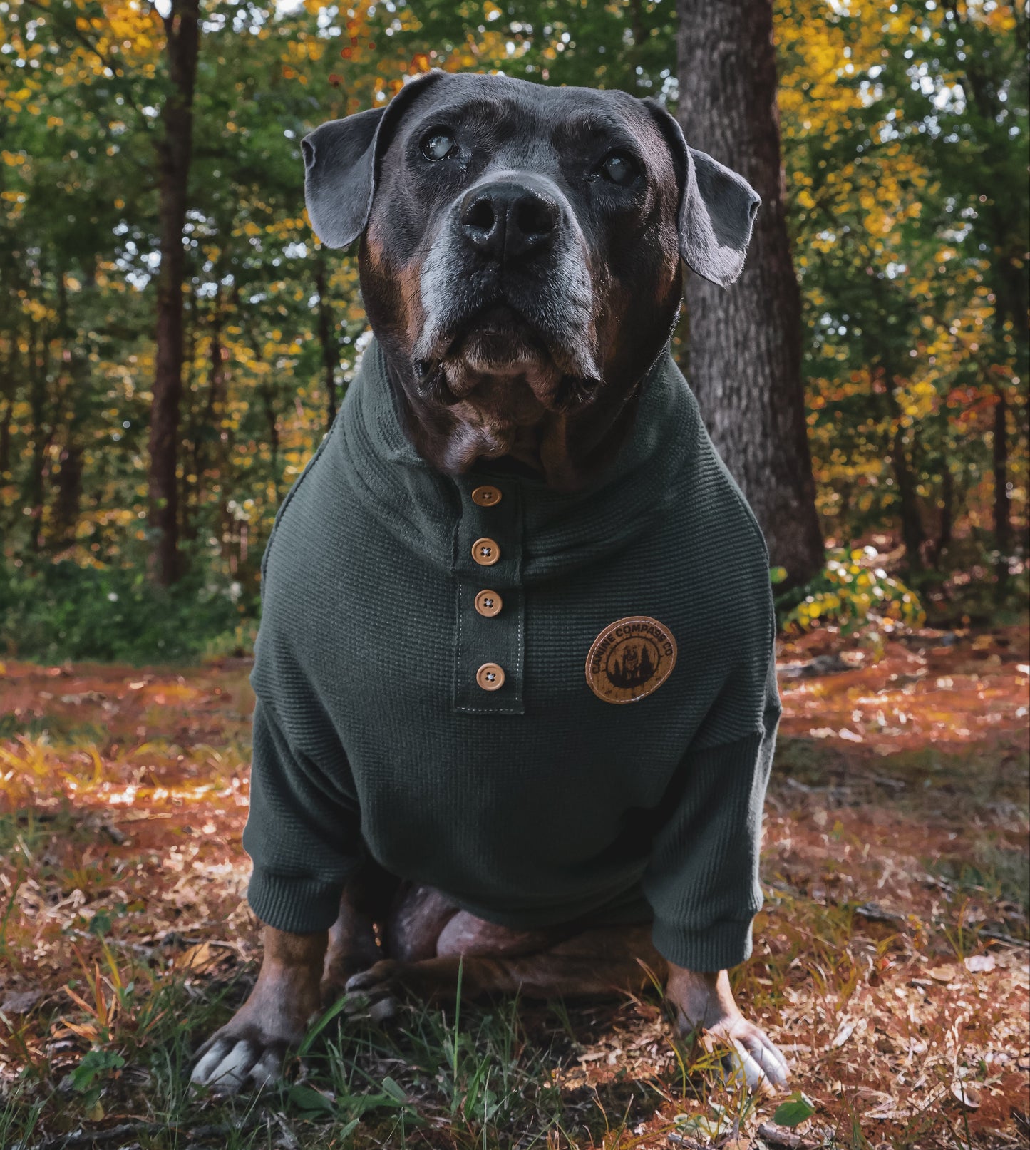 The Wilds - Thermal Dog Shirt - 6 Color Options