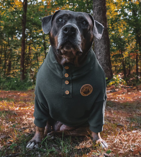 The Wilds - Thermal Dog Shirt - 6 Color Options