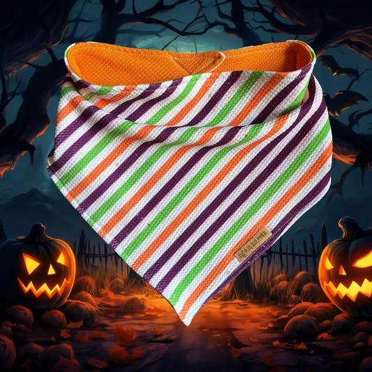 Happy Halloween - Halloween Bandana