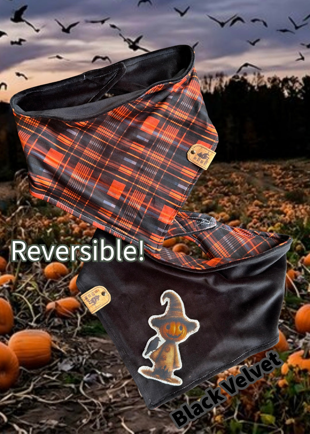 Not so Scarycrow - Reversible Dog Bandana - LIMITED SIZES