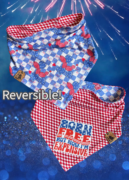 Born free but now I’m expensive - Reversible Dog Bandana