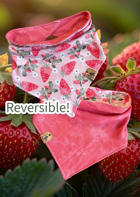 Strawberry Blooms  - Reversible Dog Bandana