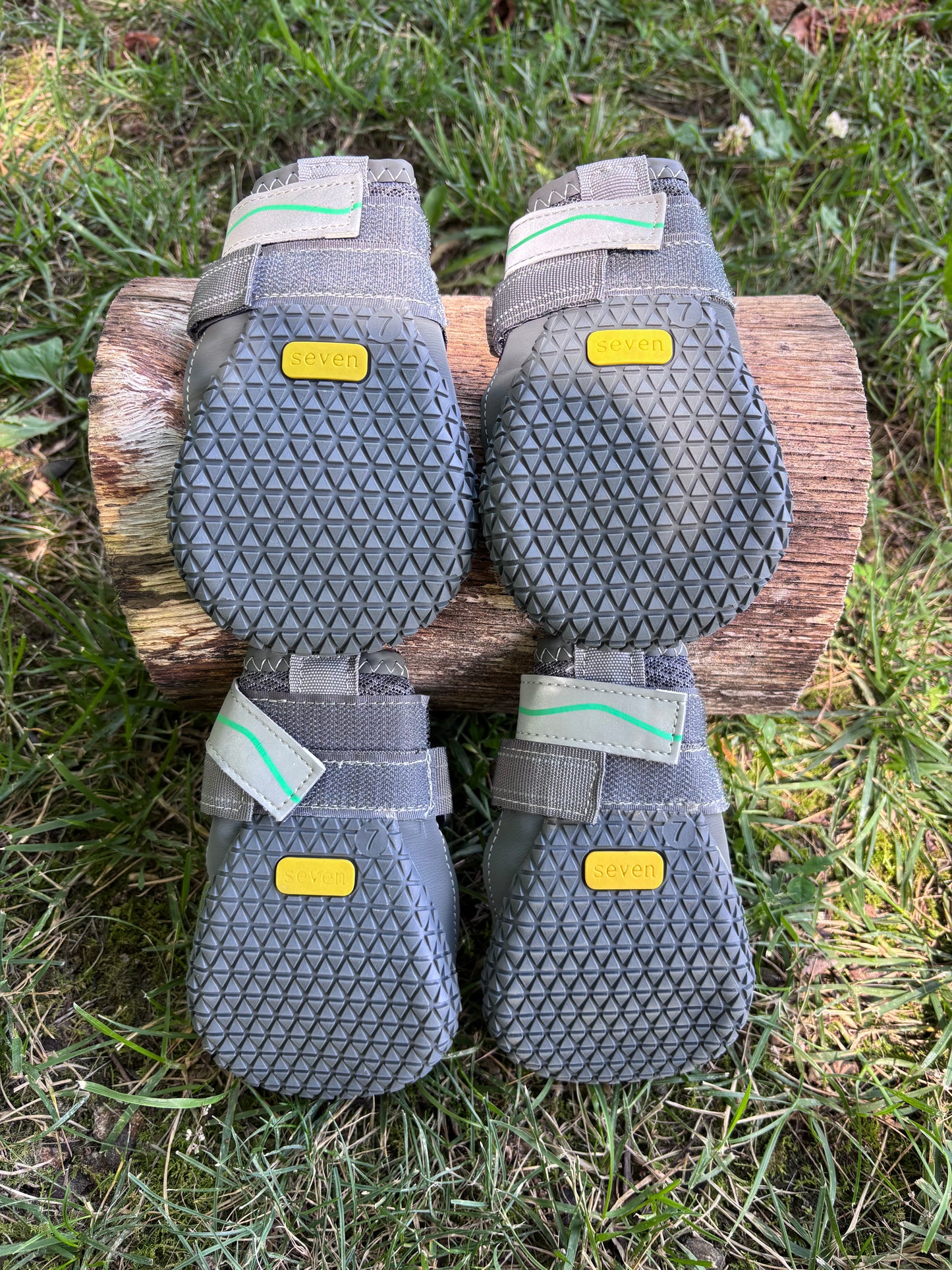 Pup Wonders Dog Shoes - Size 7