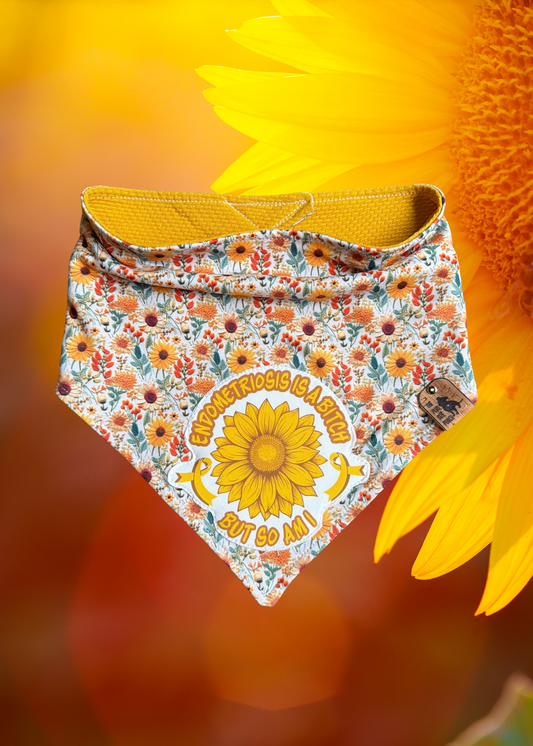 Endometriosis is a bitch - Reversible Dog Bandana