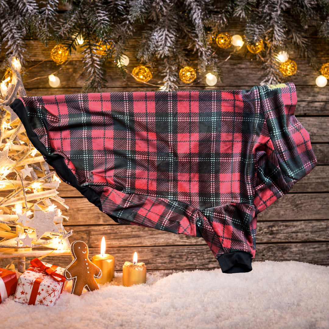 Cozy Christmas - Minky Soft Longsleeve Shirt