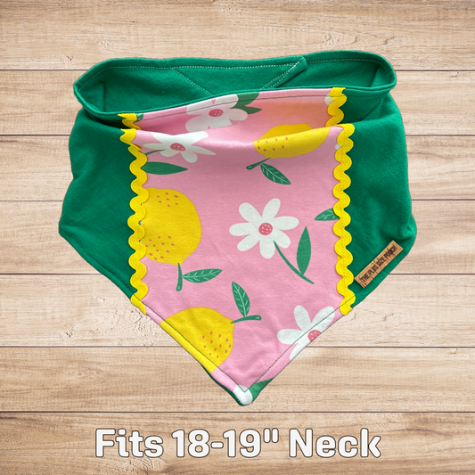 Upcycle Bin - Fits 18-19" Neck