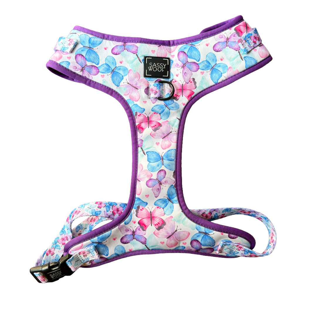 SassyWoof Harness - XL