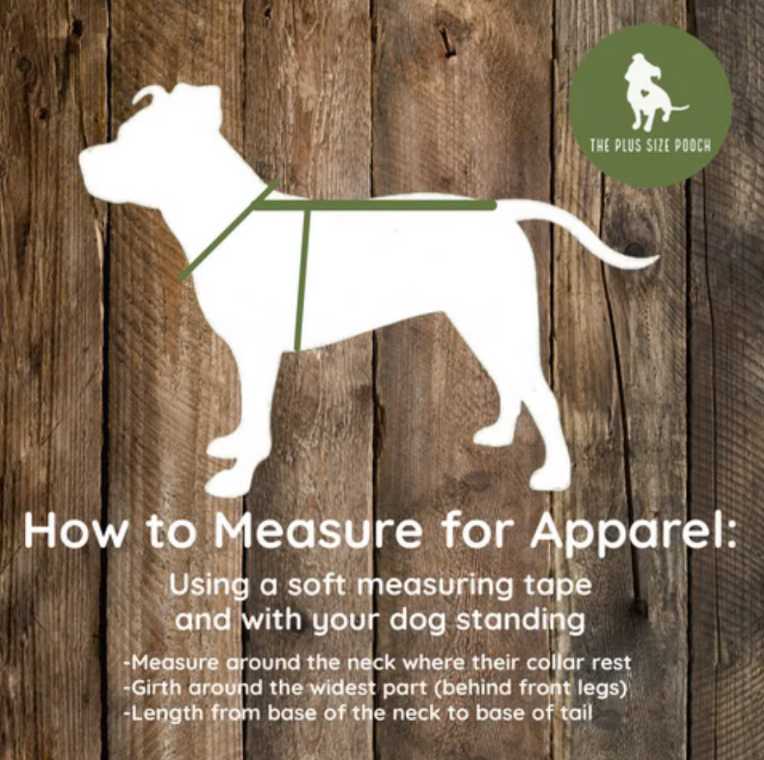 Moonlight Dragon - Fleece Dog Coat