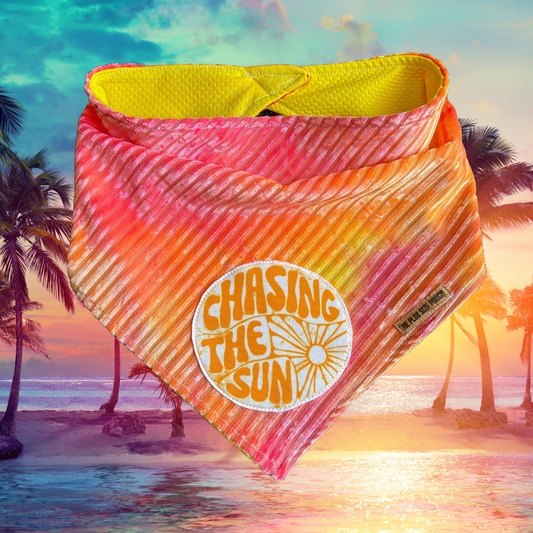 ☀️Chasing the sun- Everyday Stretch Bandana