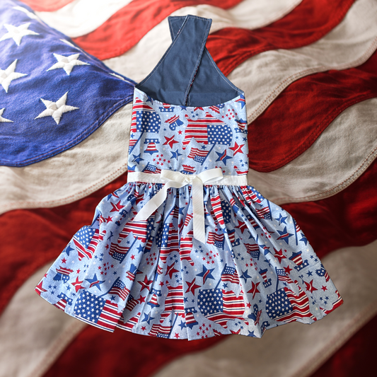 Land of Liberty -  Dog Dress -LARGE ONLY
