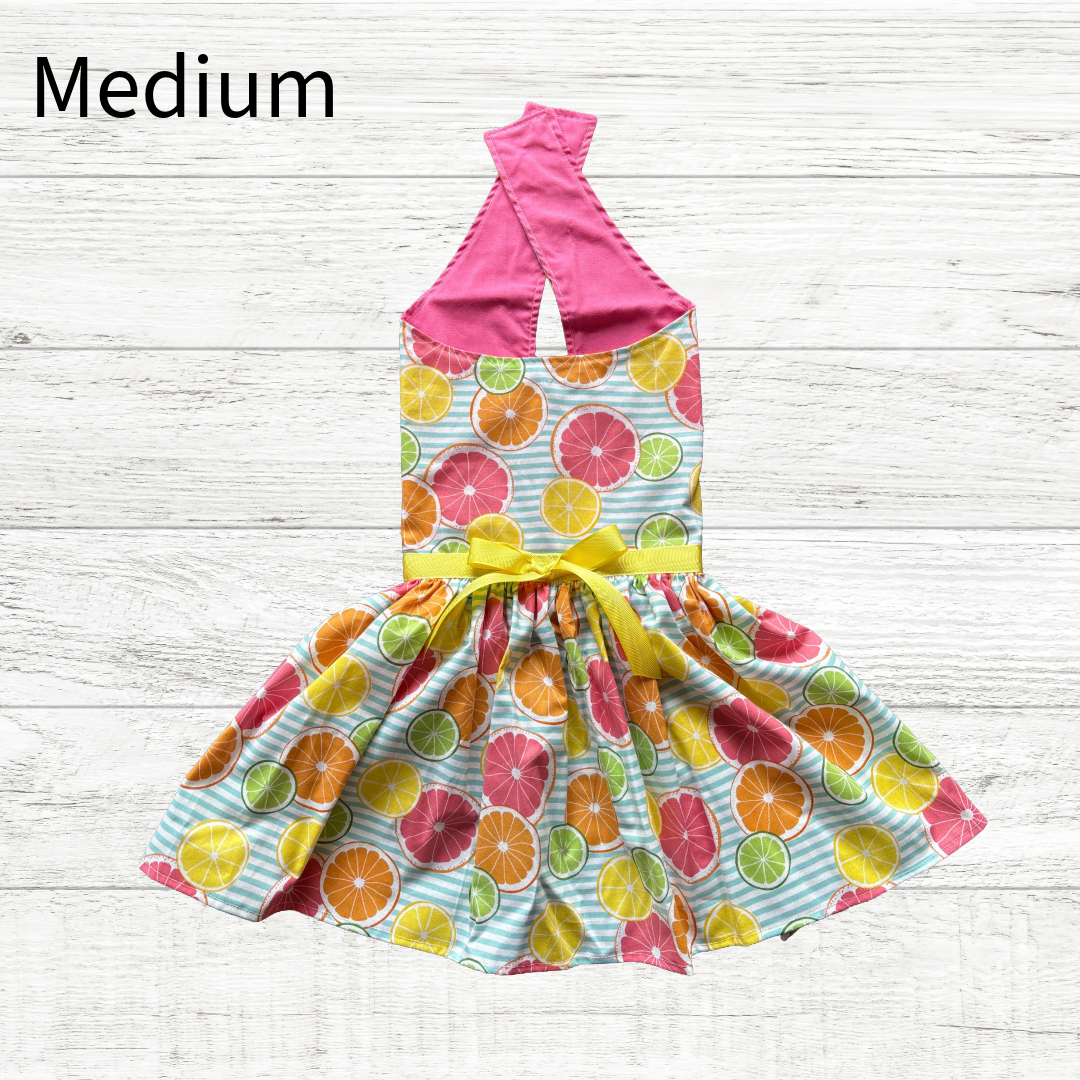 Citrus Sweetie - Dog Dress - MEDIUM