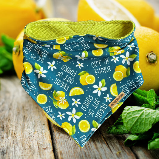 Fresh out of fucks- Everyday Stretch Bandana