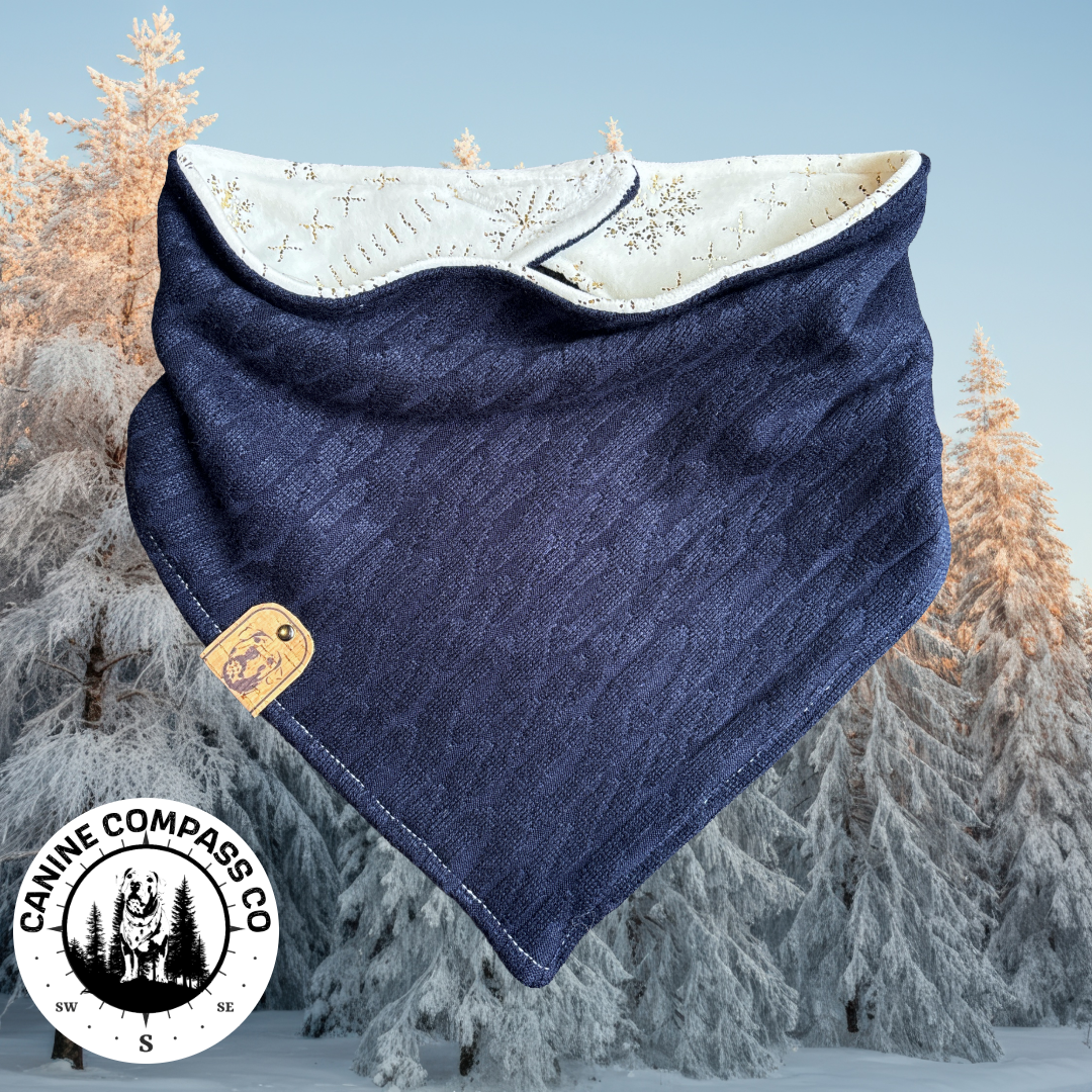 Golden Hour Snowstorm - Canine Compass Co - Reversible Dog Bandana
