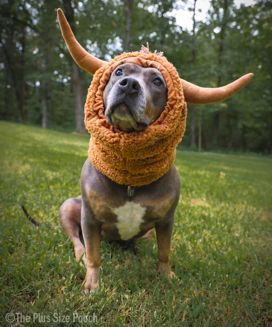 Highland Cow Snood