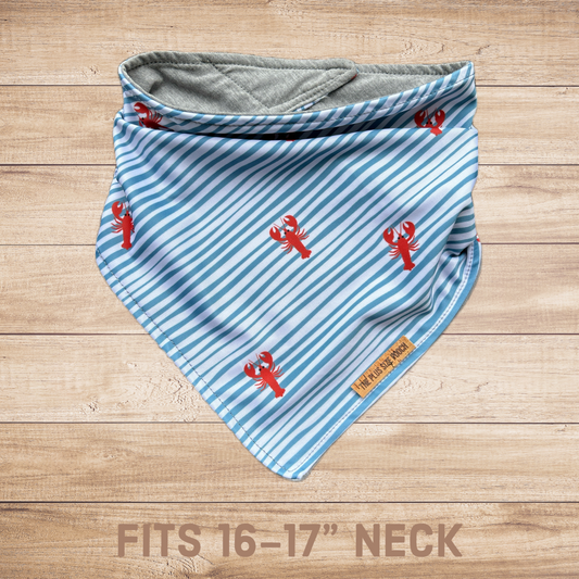 Upcycle - Fits 16-17" Neck