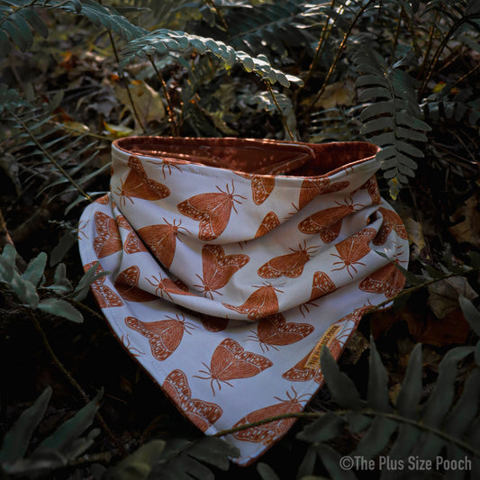 Woodland Wonders - Everyday Stretch Bandana