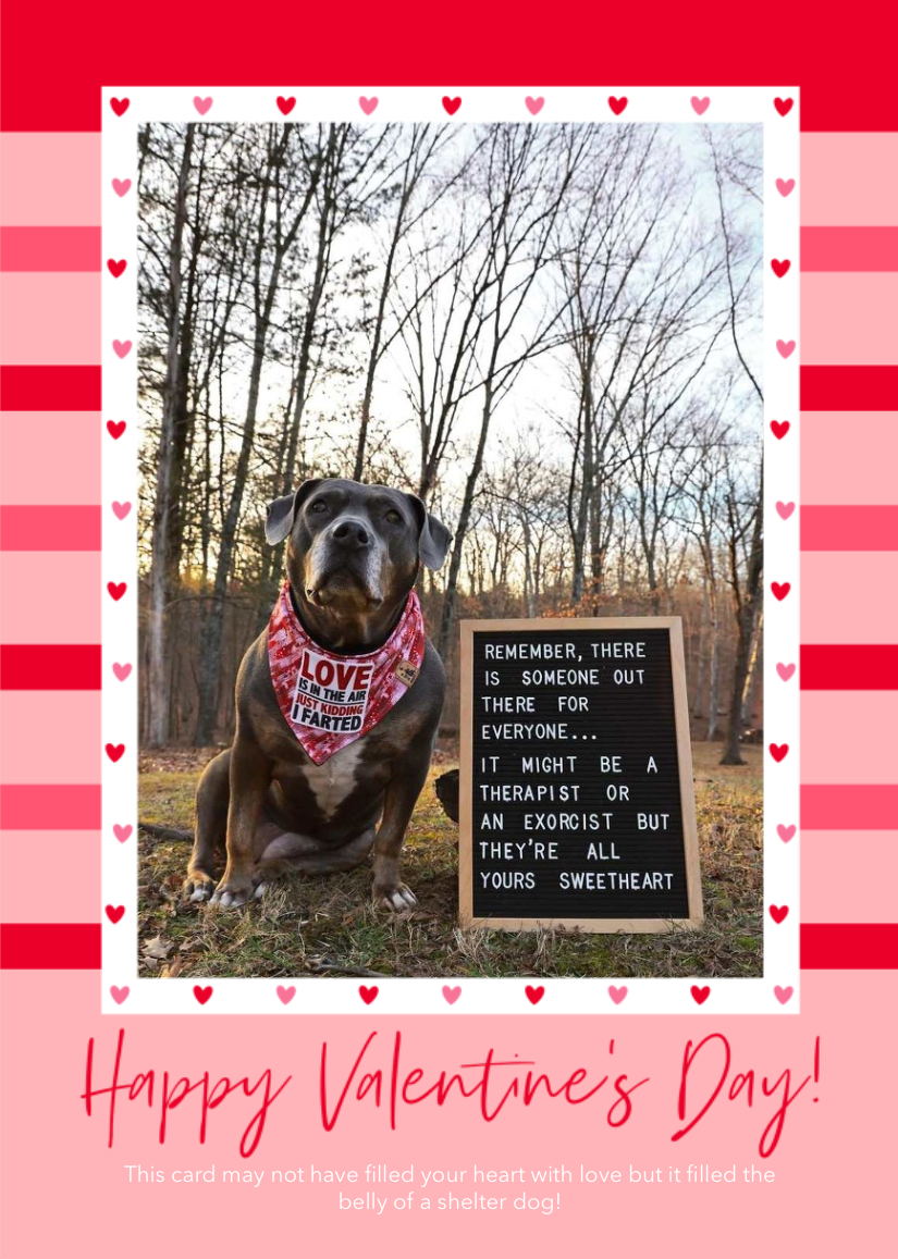 There is someone for everyone - #quoteswithcora 5x7 Valentine