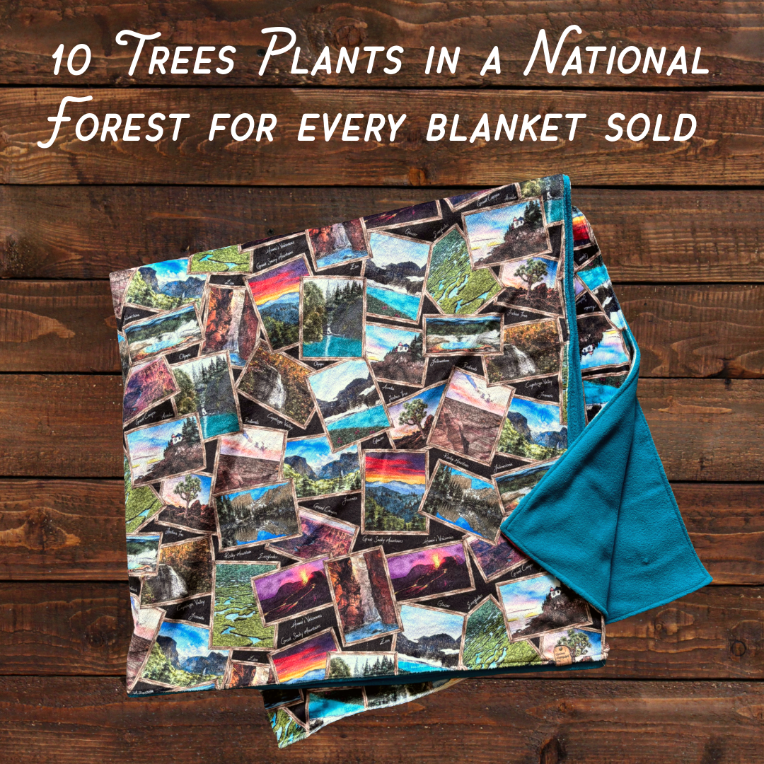 National Park Post Card - Double Layer Blanket - 60"x60"
