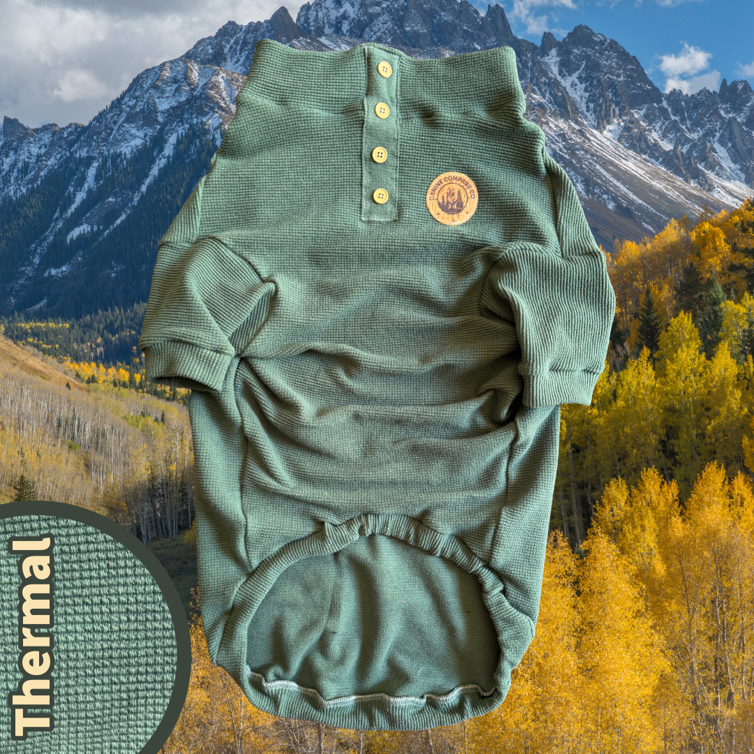 PRE-ORDER The Wilds - Thermal Dog Shirt - 6 Color Options