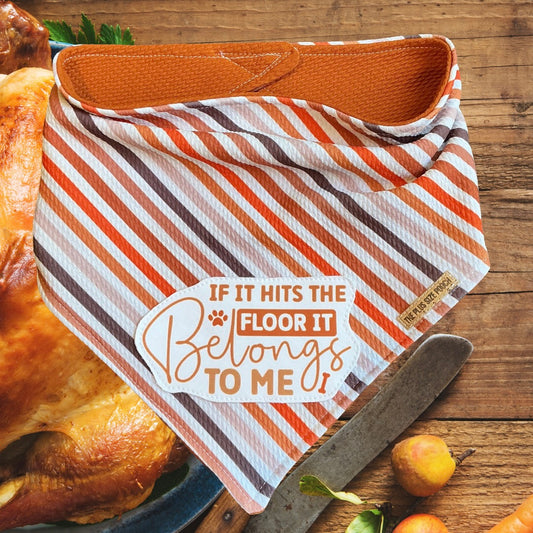 Thanksgiving Rule - Everyday Stretch Bandana