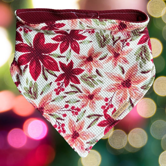 Pretty little Poinsettia - Christmas Collection - Reversible Dog Bandana