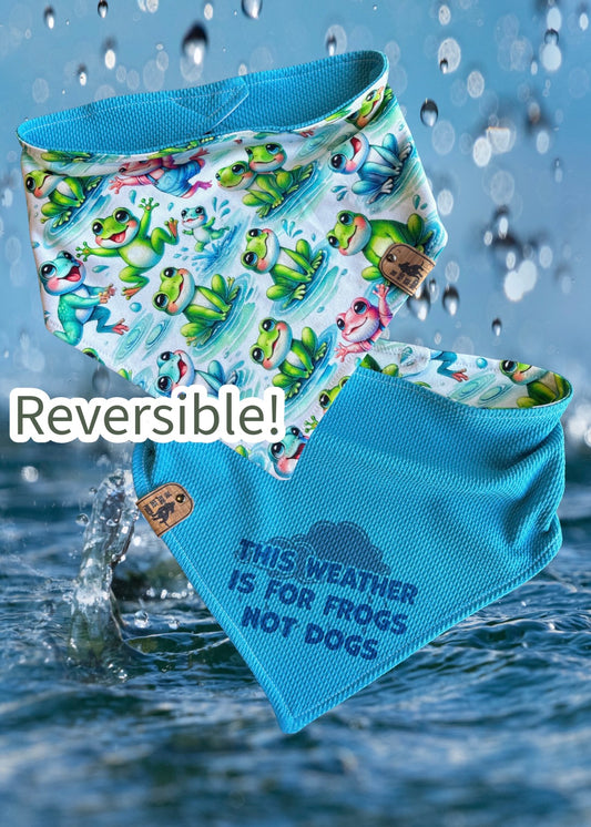 This weather is for frogs not dogs - Reversible Dog Bandana