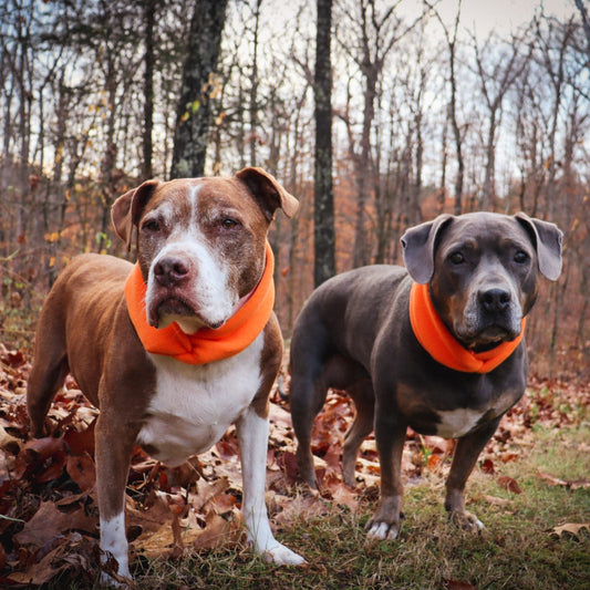 Hiking Safety - Hi-Vis Orange Fleece Neck Band