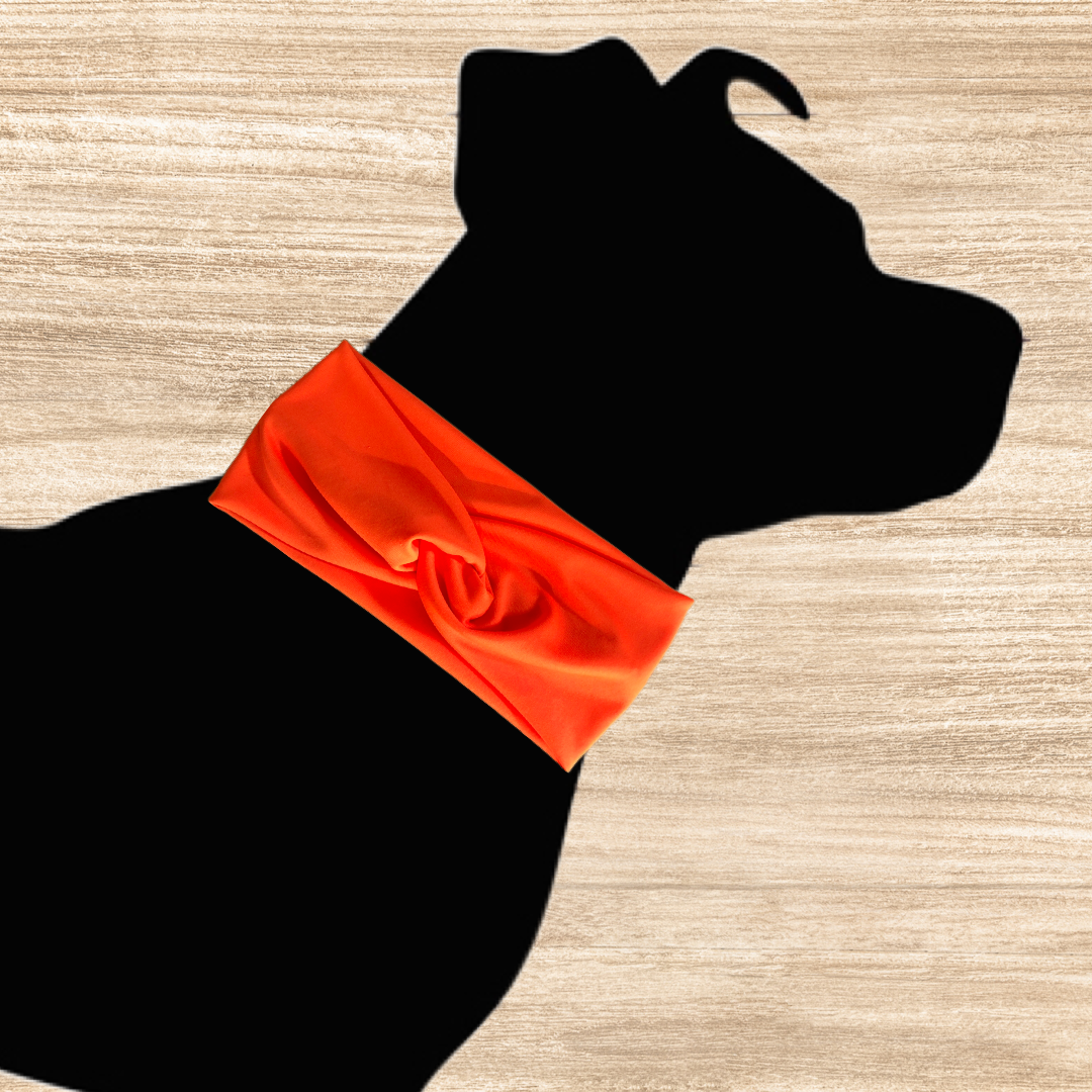 Hi-Vis Lightweight Hiking Safety Dog Neckband